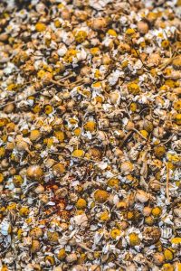 Calendula Chamomile Soap